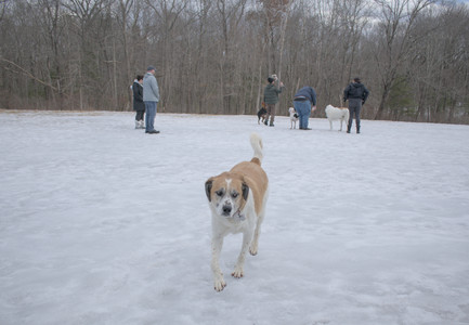 20250301_First Shoot_20250301_0003_.jpg