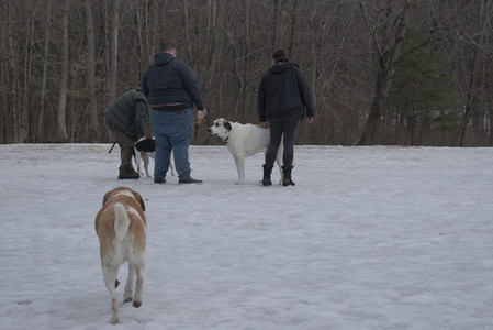 20250301_First Shoot_20250301_0005_.jpg