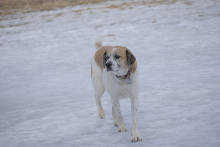 20250301_First Shoot_20250301_0006_.jpg