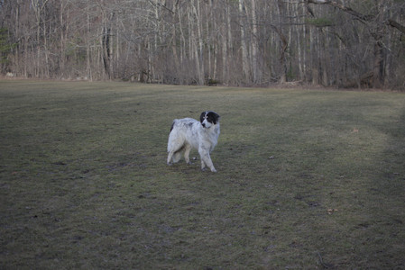 20250318_House and Dog Park_DSC_0597_.jpg