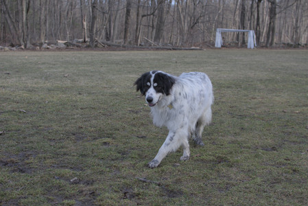 20250318_House and Dog Park_DSC_0602_.jpg