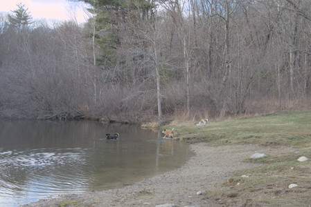 20250318_House and Dog Park_DSC_0629_.jpg