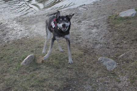 20250318_House and Dog Park_DSC_0637_.jpg