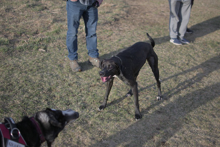 20250318_House and Dog Park_DSC_0650_.jpg