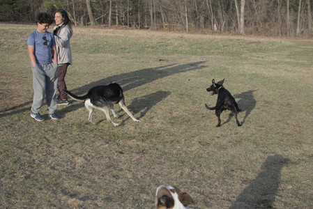 20250318_House and Dog Park_DSC_0654_.jpg