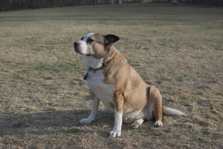 20250318_House and Dog Park_DSC_0660_.jpg