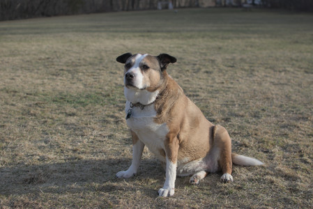 20250318_House and Dog Park_DSC_0661_.jpg