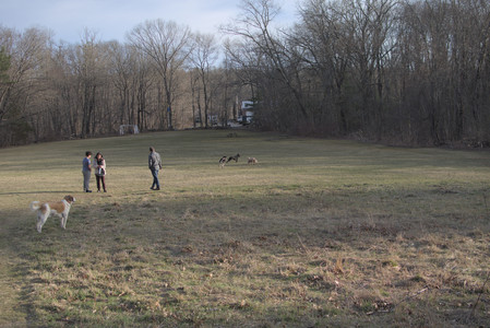 20250318_House and Dog Park_DSC_0669_.jpg