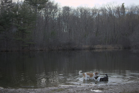 20250318_House and Dog Park_DSC_0687_.jpg