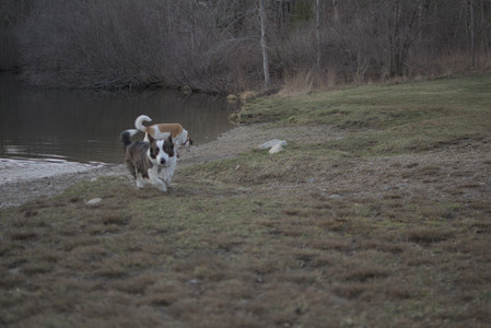 20250318_House and Dog Park_DSC_0689_.jpg