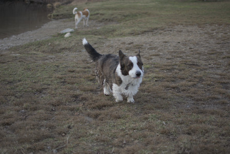 20250318_House and Dog Park_DSC_0691_.jpg