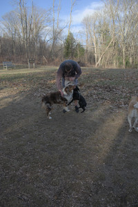 20250320_Dog Parrrrrk_DSC_0026_.jpg