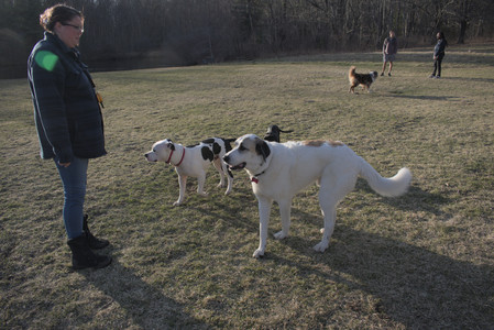 20250320_Dog Parrrrrk_DSC_0054_.jpg