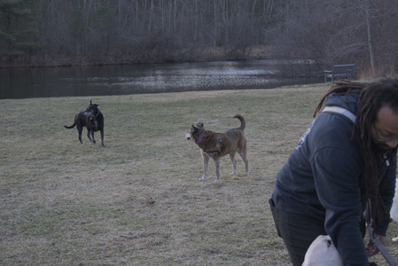 20250320_Dog Parrrrrk_DSC_0058_.jpg