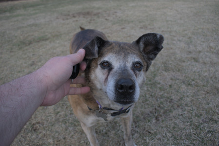 20250320_Dog Parrrrrk_DSC_0071_.jpg