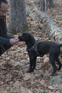 20250320_Dog Parrrrrk_DSC_0971_.jpg