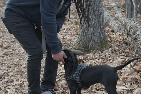 20250320_Dog Parrrrrk_DSC_0973_.jpg