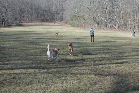 20250321_Dog park also_DSC_0121_.jpg