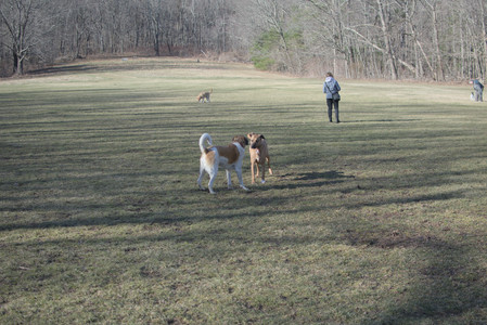 20250321_Dog park also_DSC_0122_.jpg