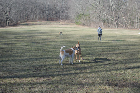 20250321_Dog park also_DSC_0123_.jpg