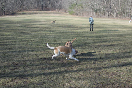 20250321_Dog park also_DSC_0124_.jpg
