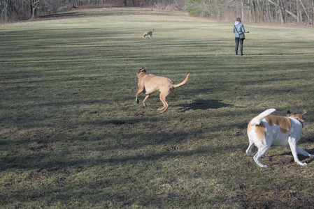20250321_Dog park also_DSC_0125_.jpg