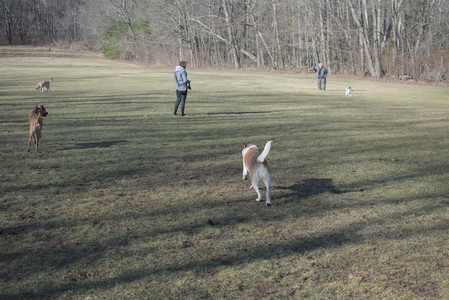 20250321_Dog park also_DSC_0126_.jpg