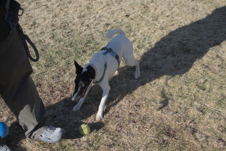 20250321_Dog park also_DSC_0134_.jpg