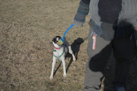 20250321_Dog park also_DSC_0136_.jpg