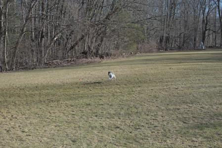 20250321_Dog park also_DSC_0145_.jpg