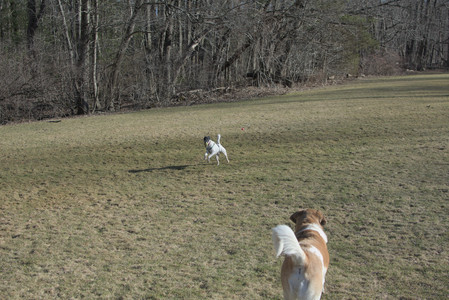 20250321_Dog park also_DSC_0146_.jpg