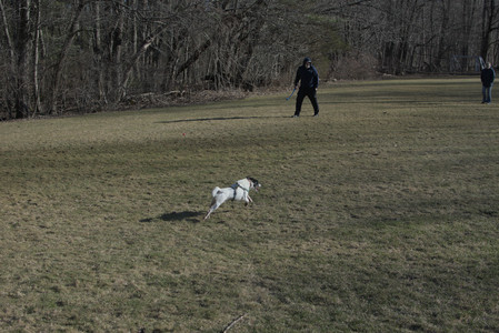 20250321_Dog park also_DSC_0150_.jpg