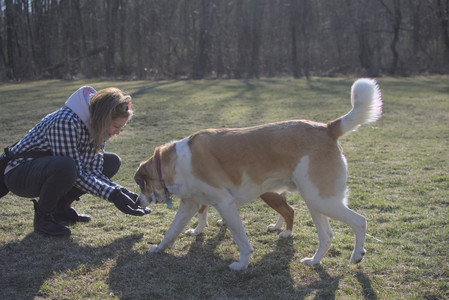 20250321_Dog park also_DSC_0170_.jpg