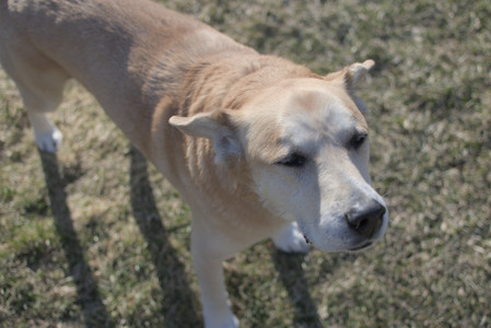 20250321_Dog park also_DSC_0175_.jpg