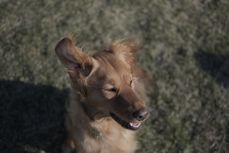 20250321_Dog park also_DSC_0178_.jpg