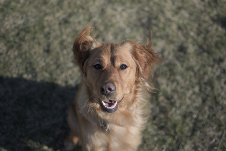 20250321_Dog park also_DSC_0179_.jpg