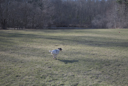 20250321_Dog park also_DSC_0186_.jpg