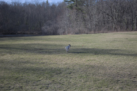 20250321_Dog park also_DSC_0187_.jpg