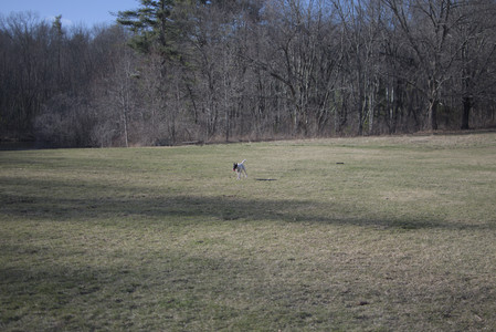 20250321_Dog park also_DSC_0188_.jpg