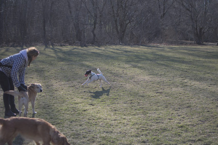 20250321_Dog park also_DSC_0189_.jpg