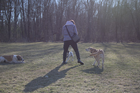 20250321_Dog park also_DSC_0191_.jpg