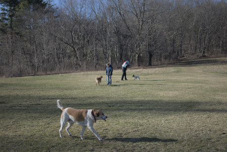 20250321_Dog park also_DSC_0193_.jpg