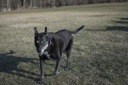 20250321_Dog park also_DSC_0200_.jpg