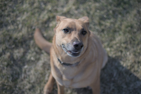 20250321_Dog park also_DSC_0214_.jpg