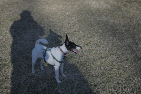 20250321_Dog park also_DSC_0219_.jpg