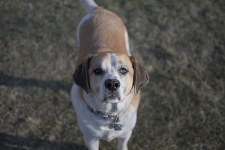 20250321_Dog park also_DSC_0225_.jpg