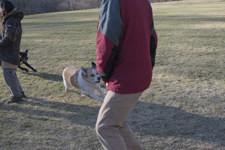 20250321_Dog park also_DSC_0247_.jpg