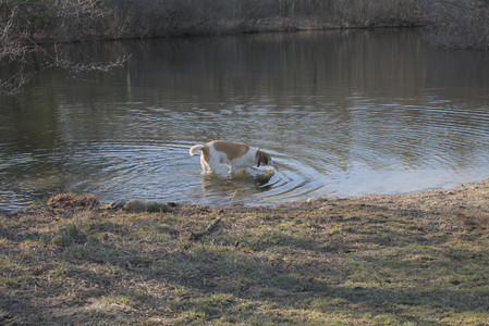 20250321_Dog park also_DSC_0264_.jpg