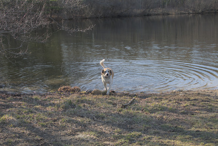 20250321_Dog park also_DSC_0265_.jpg