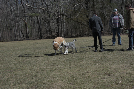 20250323_Tilly and Dog Park and Portraits_DSC_0088_.jpg